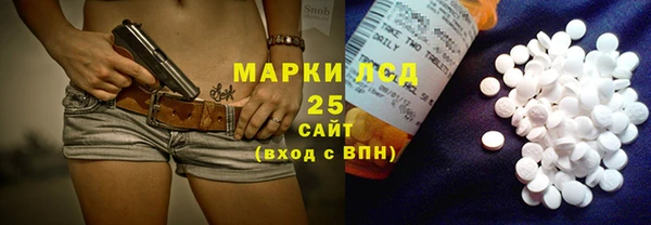 apvp Верея