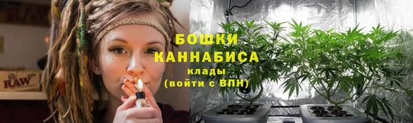 apvp Верея